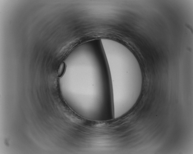 X0000099950505200805231005