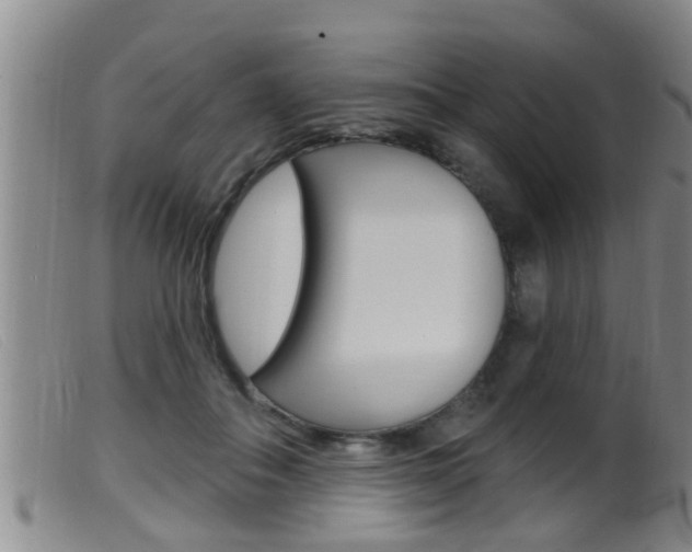 X0000099950506200805231005
