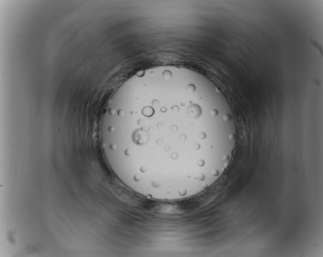 X0000099950507200805231005