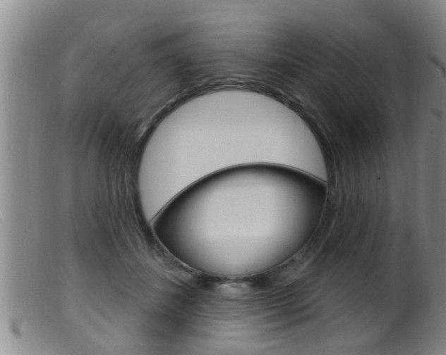 X0000099950508200805231005