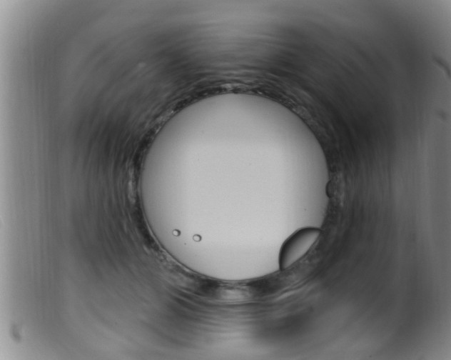 X0000099950510200805231005