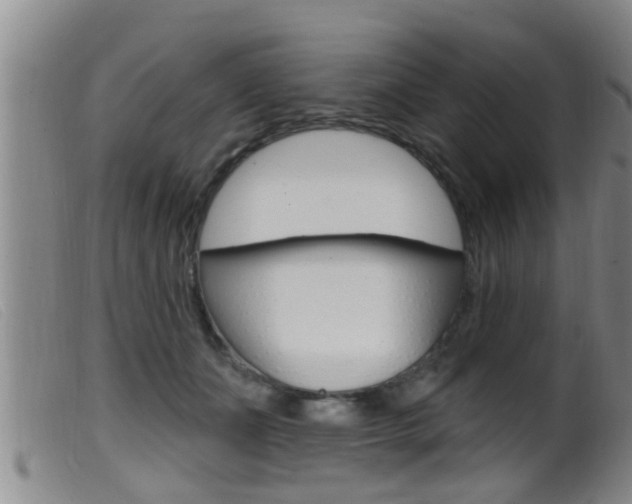 X0000099950511200805231005