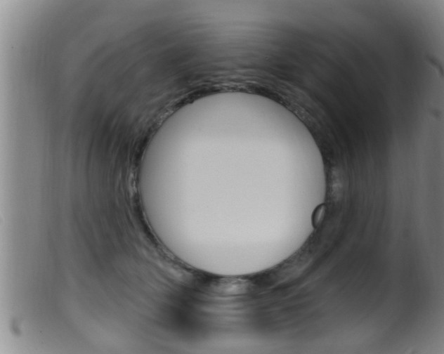 X0000099950514200805231004