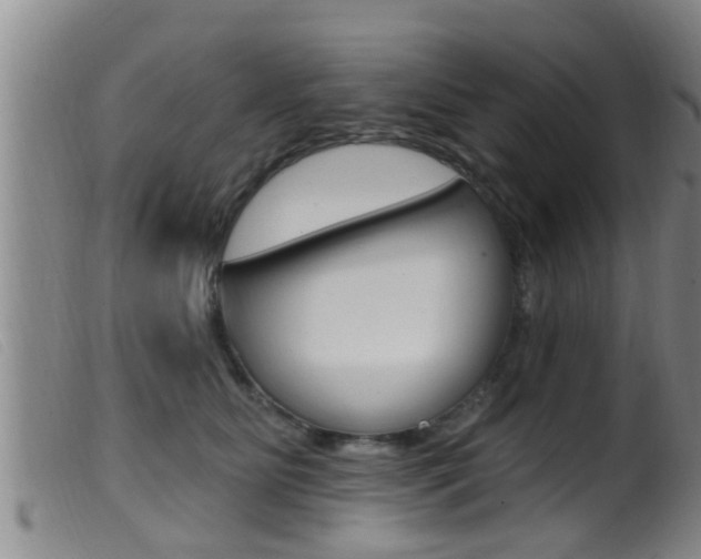 X0000099950515200805231004
