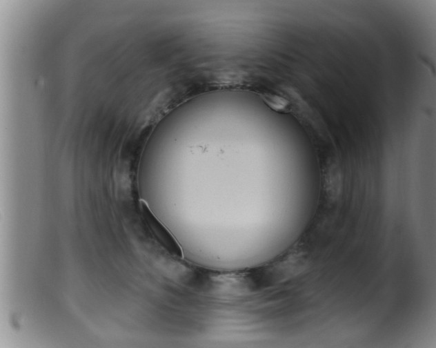 X0000099950516200805231004