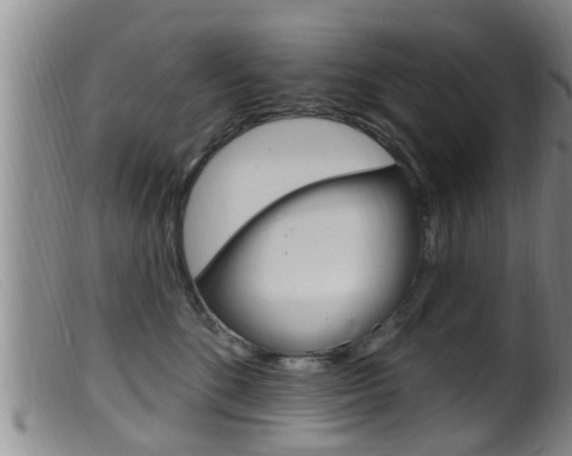 X0000099950520200805231004