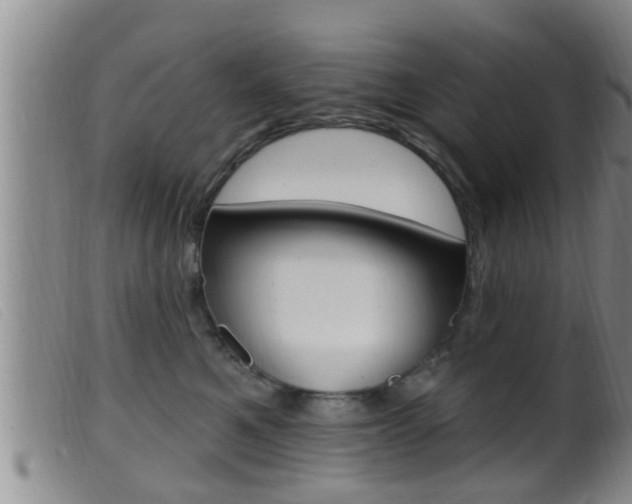 X0000099950521200805231004