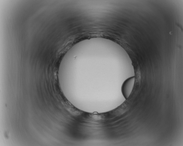 X0000099950522200805231004