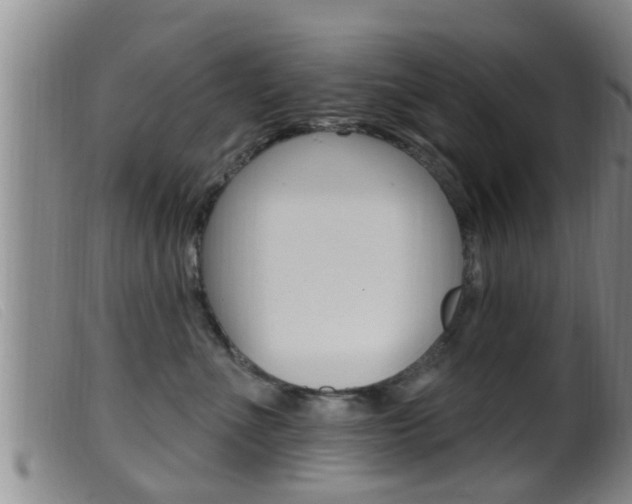 X0000099950523200805231004