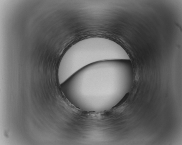 X0000099950524200805231004