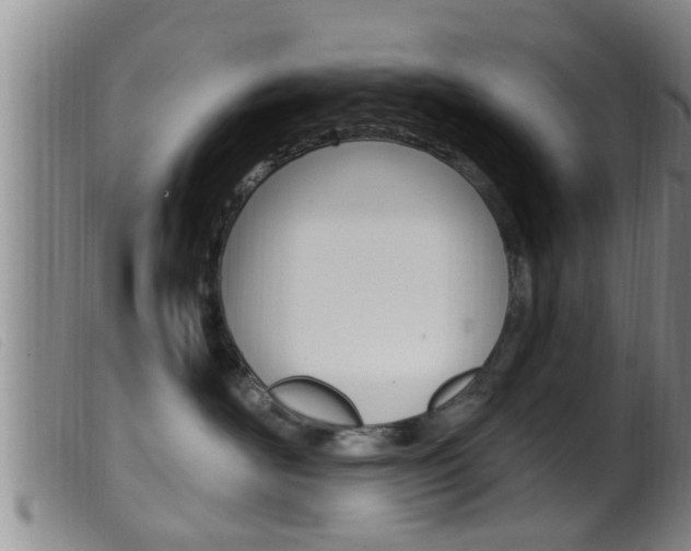 X0000099950526200805231004
