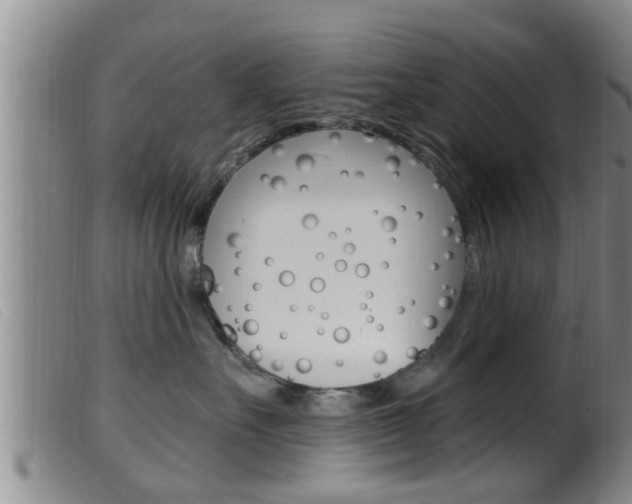 X0000099950527200805231004
