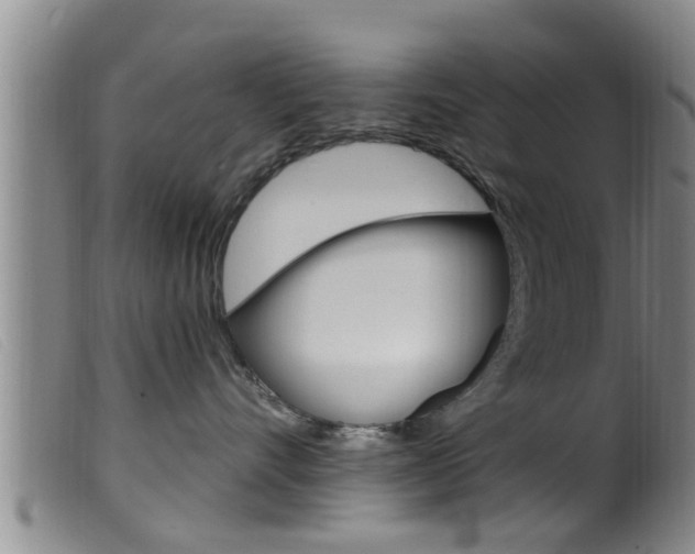 X0000099950528200805231004