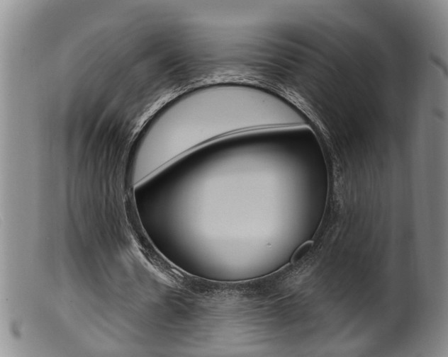 X0000099950530200805231003