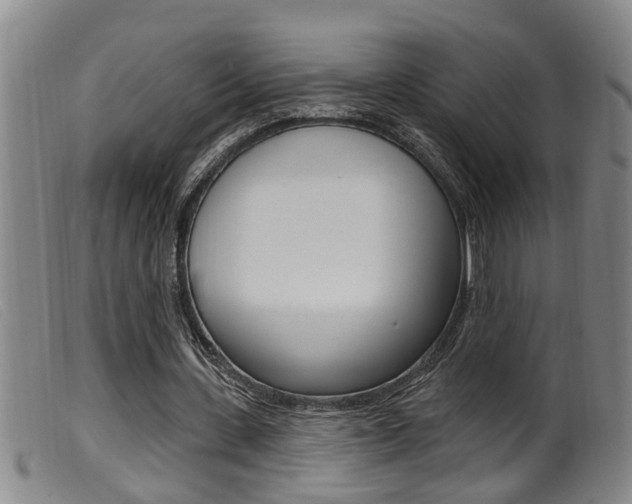 X0000099950531200805231003