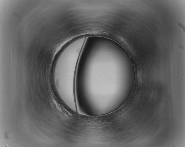 X0000099950532200805231003