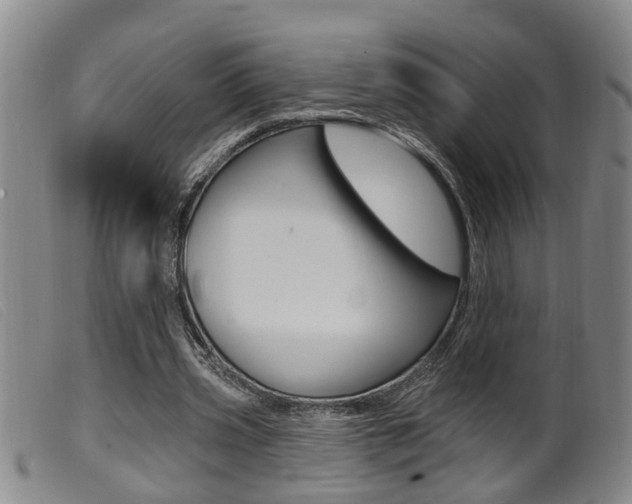 X0000099950533200805231003