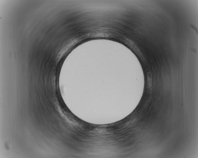 X0000099950534200805231003