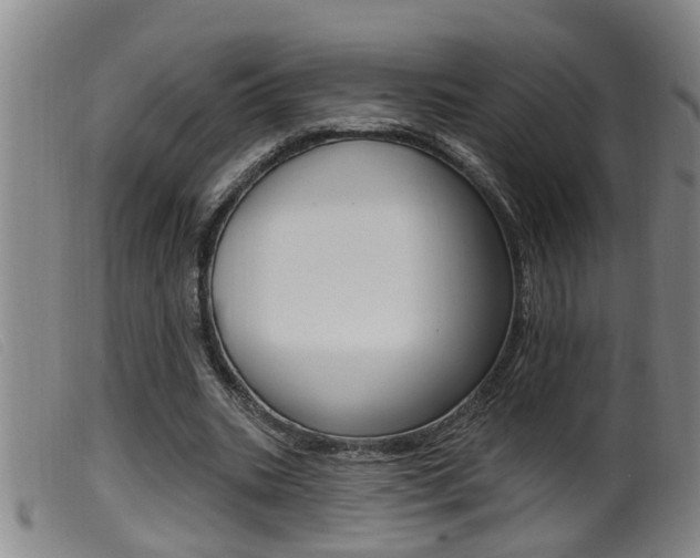 X0000099950535200805231003