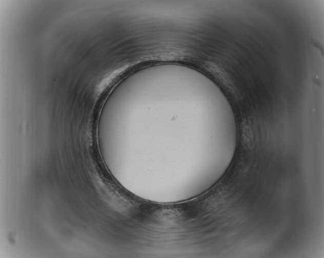 X0000099950536200805231003