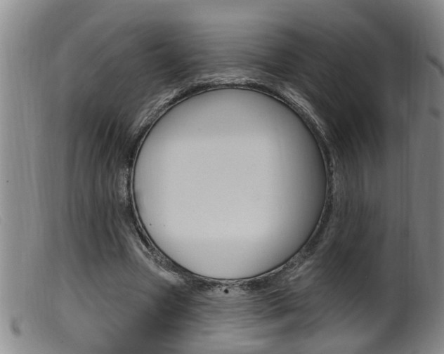 X0000099950537200805231003