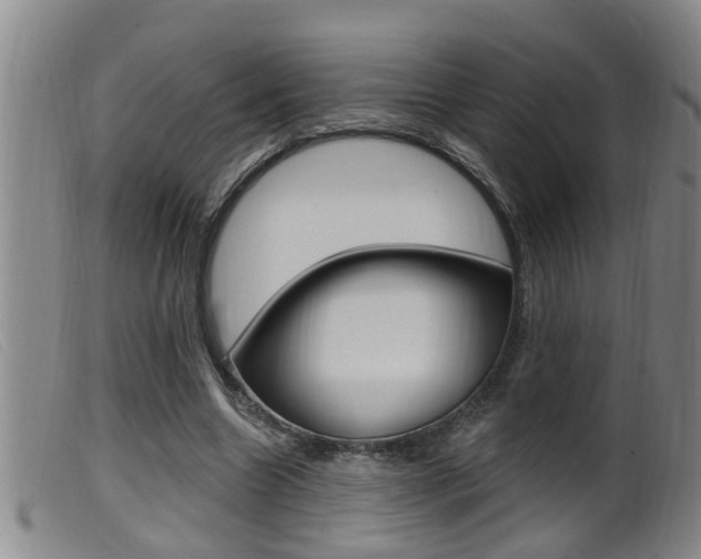 X0000099950538200805231004