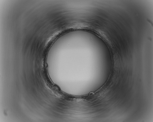 X0000099950539200805231004