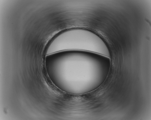 X0000099950540200805231004
