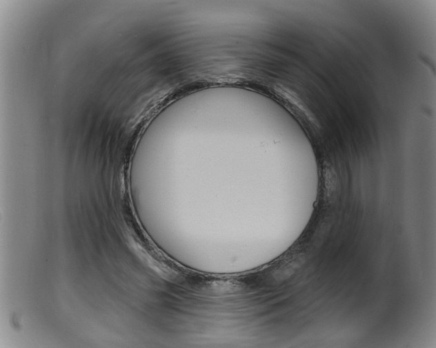 X0000099950541200805231004