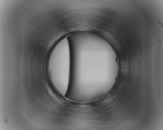 X0000099950542200805231004