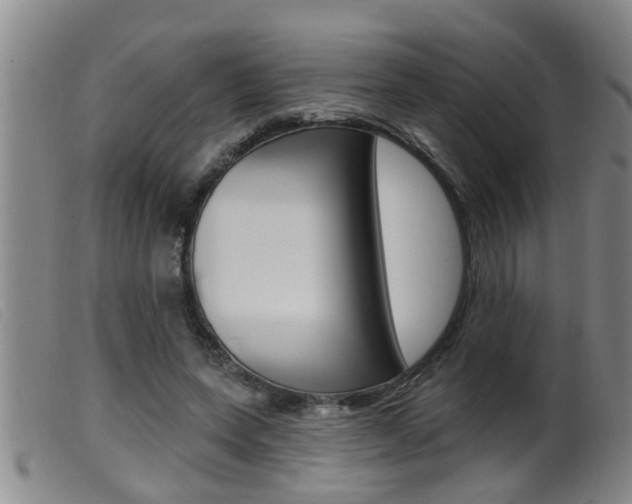 X0000099950543200805231004