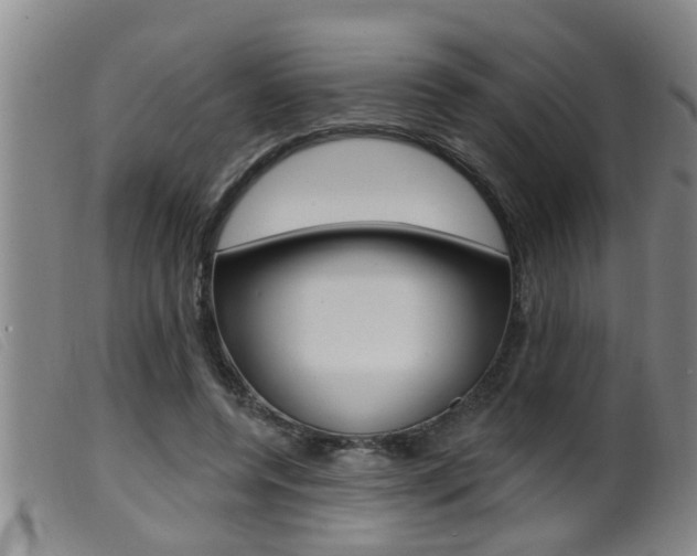 X0000099950544200805231004