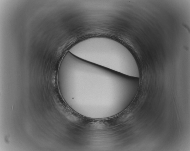 X0000099950545200805231004
