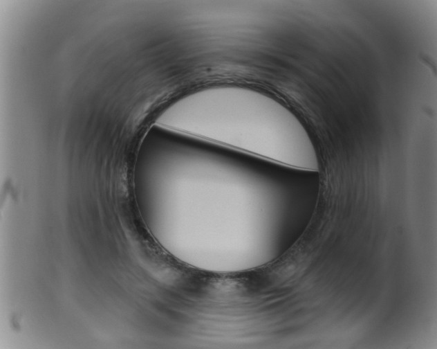 X0000099950547200805231004