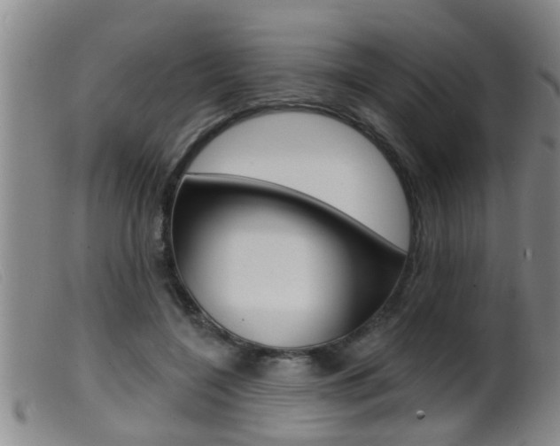 X0000099950548200805231004