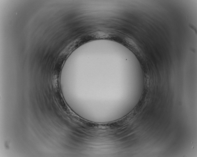 X0000099950549200805231004