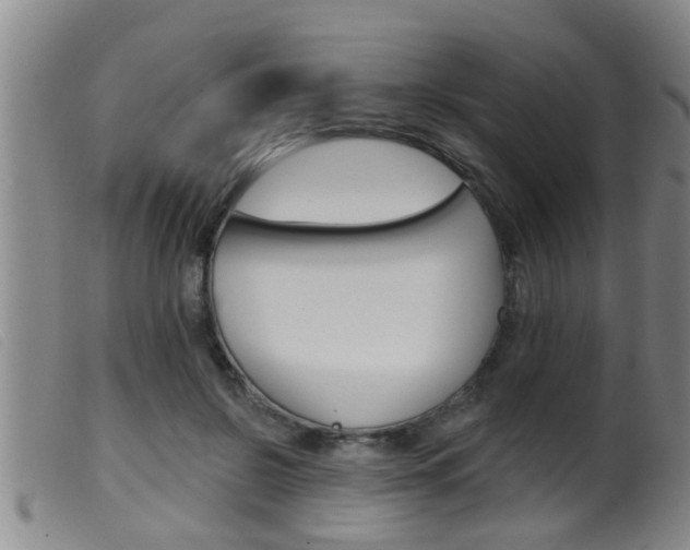 X0000099950550200805231004