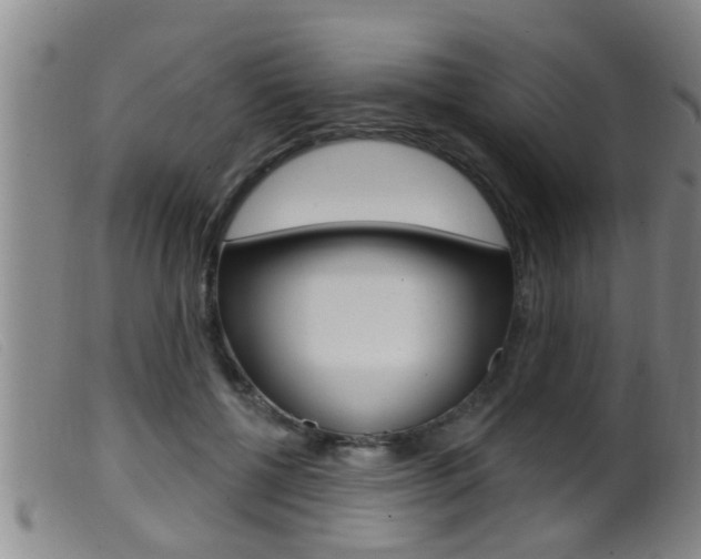X0000099950552200805231004