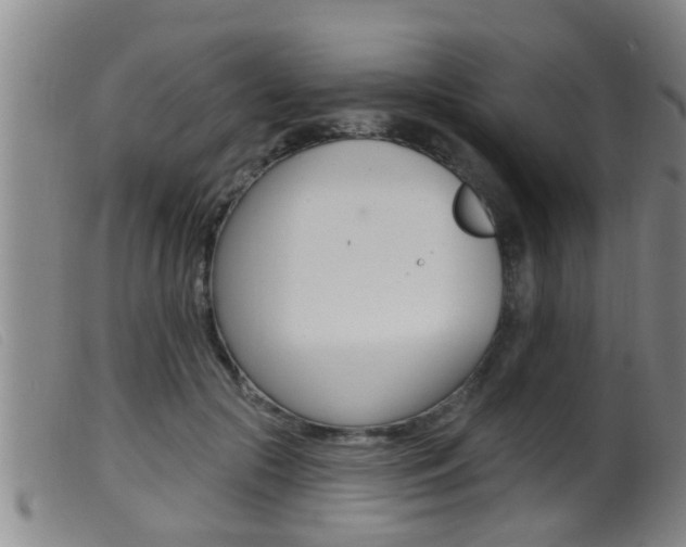 X0000099950553200805231004