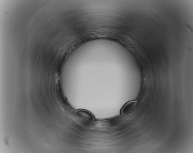 X0000099950555200805231004