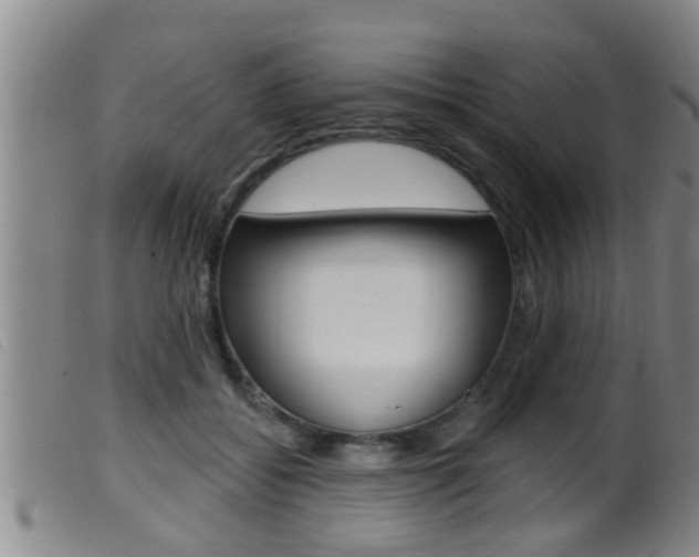 X0000099950556200805231004