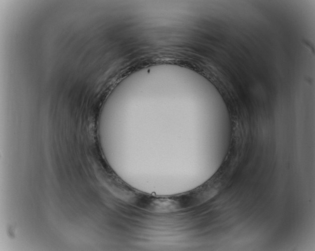 X0000099950557200805231004