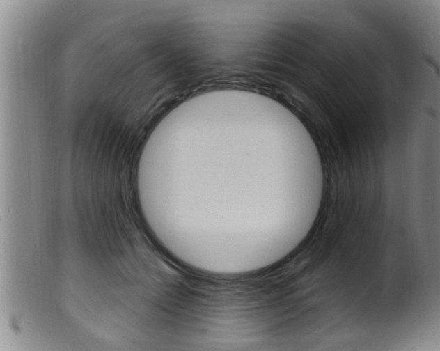 X0000099950558200805231004