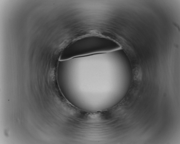 X0000099950560200805231004