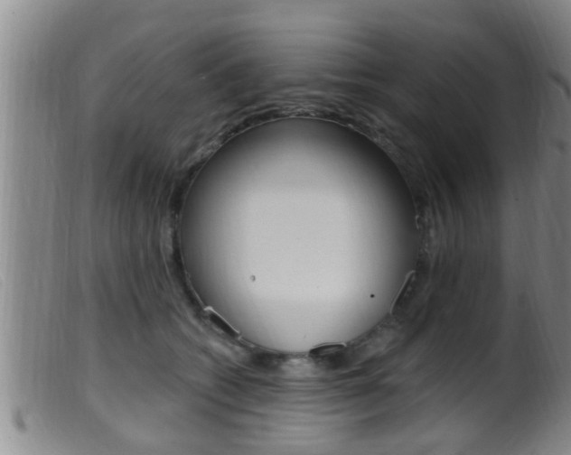 X0000099950562200805231004