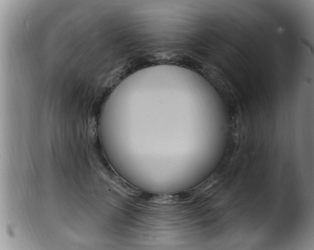 X0000099950563200805231004