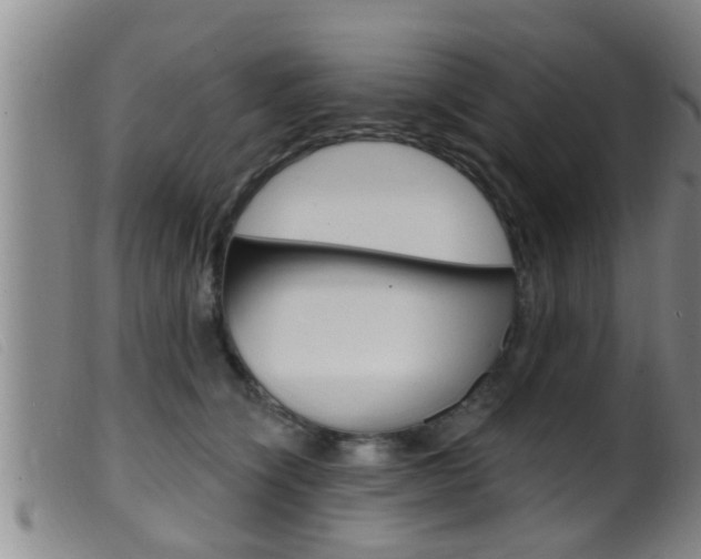 X0000099950564200805231004