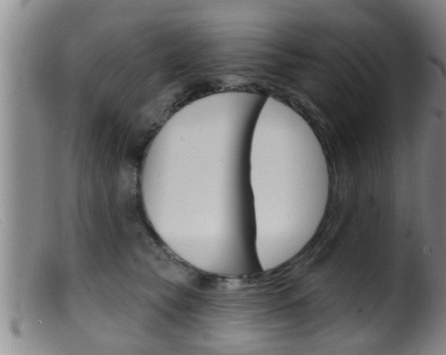 X0000099950565200805231004