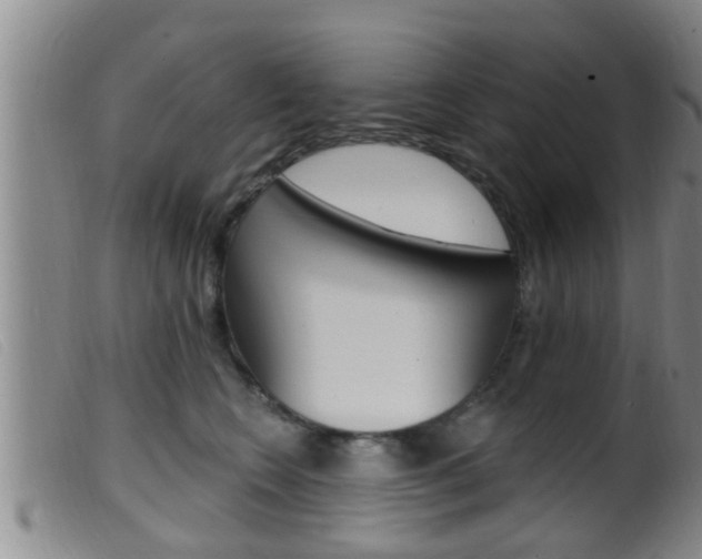 X0000099950566200805231004