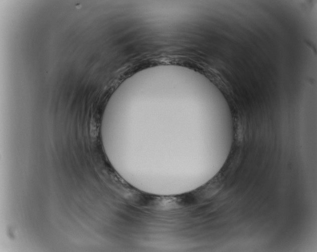 X0000099950569200805231004
